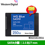 Western Digital威騰 250GB WDS250G3B0A 藍標 Blue SA510 SATA SSD固態硬碟(五年保固)